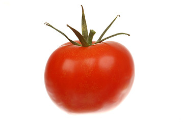 Image showing Tomatoes # 03