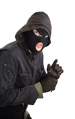 Image showing Burglar