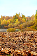 Image showing cornfield in autumn