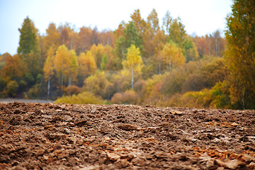 Image showing cornfield in autumn