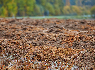 Image showing cornfield in autumn