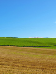 Image showing Cardross hill panorama