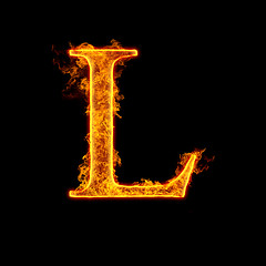 Image showing Fire alphabet letter L