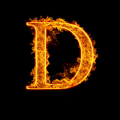 Image showing Fire alphabet letter D