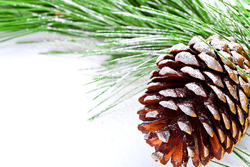 Image showing fir tree branch with pinecone