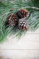 Image showing christmas fir tree with pinecones 