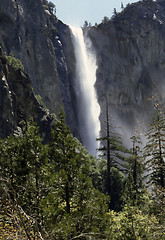 Image showing Yosemite Falls
