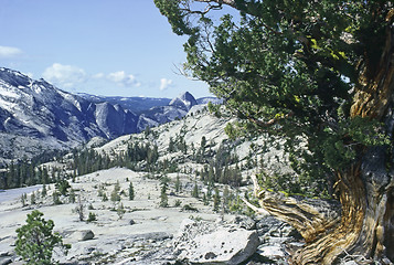 Image showing Yosemite National Park