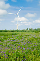 Image showing Summer landscape with wind generators  