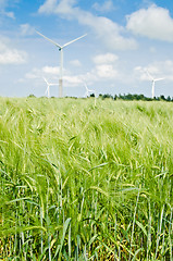 Image showing Summer landscape with wind generators  