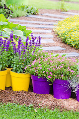 Image showing Large plant pots with flowers in the garden, close-up  
