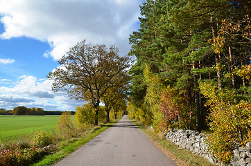 Image showing Swedish country road
