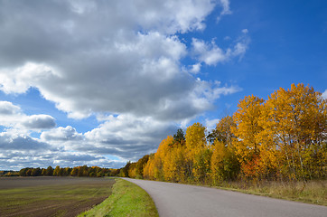 Image showing Roadside aspens at fall