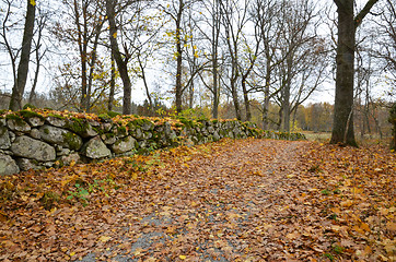 Image showing The old road