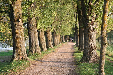 Image showing Alley