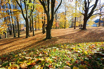 Image showing Autumn morning with sun and shadows in park