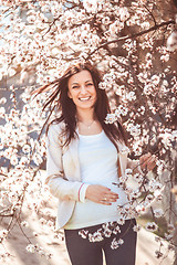 Image showing Pregnant woman in the flowering branches