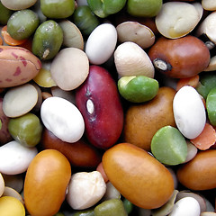 Image showing Beans salad