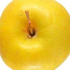 Image showing Yellow Apple