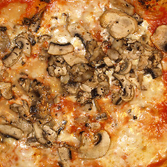 Image showing Mushroom Pizza