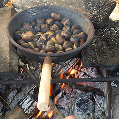 Image showing Barbecue picture