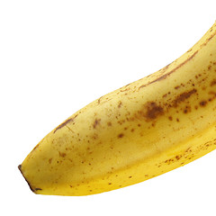 Image showing Banana isolated