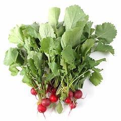 Image showing Radish vegetables