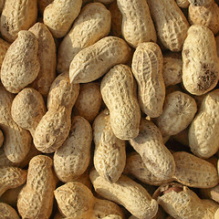 Image showing Peanuts picture