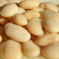 Image showing Beans salad