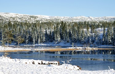 Image showing Tarn freezing over