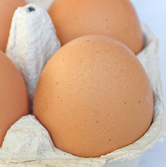 Image showing Eggs picture