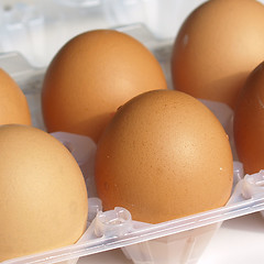 Image showing Eggs picture