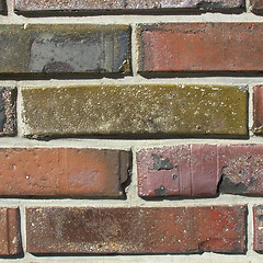 Image showing Brick wall