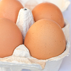 Image showing Eggs picture