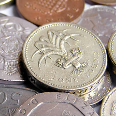 Image showing Pounds