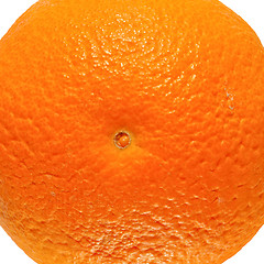 Image showing Orange fruit