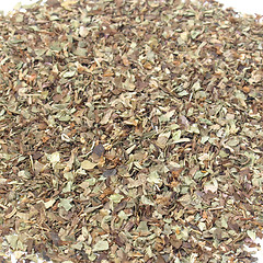 Image showing Oregano spice