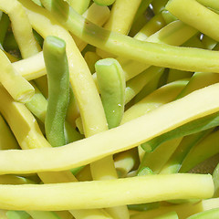 Image showing Common bean