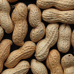 Image showing Peanut picture
