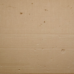 Image showing Corrugated cardboard