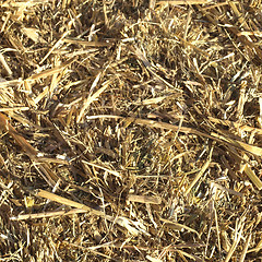 Image showing Straw picture