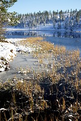 Image showing Tarn freezing over