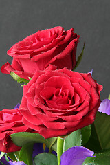 Image showing Roses