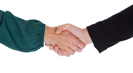 Image showing Close up of two women shaking hands