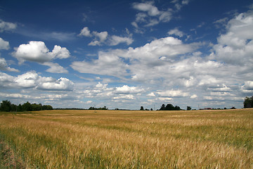 Image showing Landscape