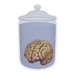 Image showing Human Brain in a Jar