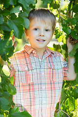 Image showing Little smiling boy