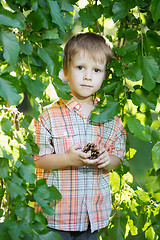 Image showing Nice little boy