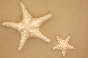Image showing Sea Stars