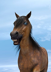 Image showing Happy Horse